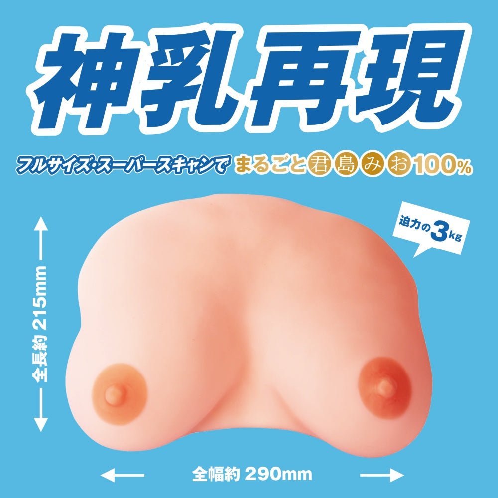 日本美乳　君島美緒