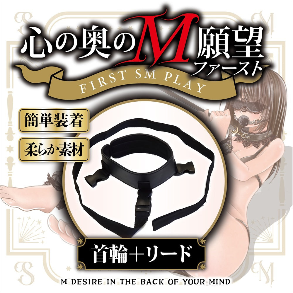 內心深處的M願望　初階　頸圈＋牽引繩 選項VOL2